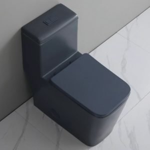 Toilet A09