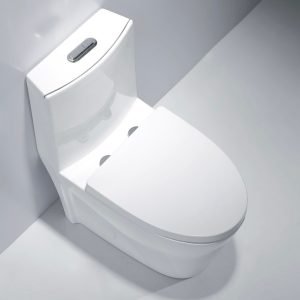 Toilet A11